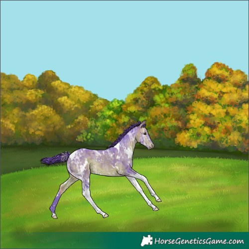 Horse Color:Watercolor White Spotted Brown Ice Tobiano Rabicano 