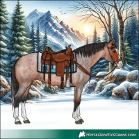Horse Color:Bay Roan Splash 