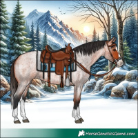 Horse Color:Bay Roan Splash 