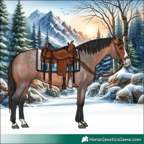 Horse Color:Brown Roan Splash 