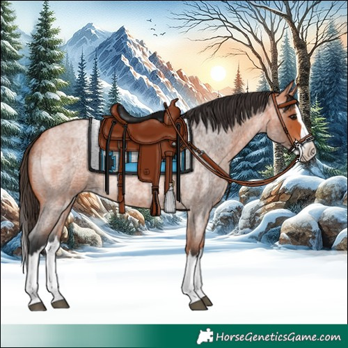 Horse Color:Bay Roan Splash 