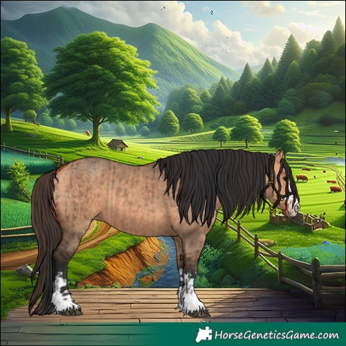 Horse Color:Bay Dun  and Bay Dun 