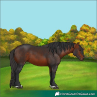 Horse Color:Brown 