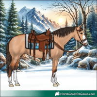 Horse Color:Bay Dun