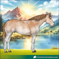 Horse Color:White Spotted Chestnut Rabicano