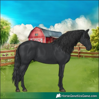 Horse Color:Black 