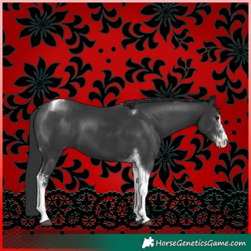 Horse Color:Black Sabino Tobiano