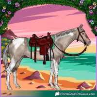 Horse Color:Silver Brown Dun Tobiano