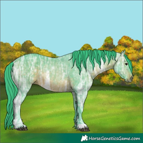 Horse Color:Watercolor Brown Ice 