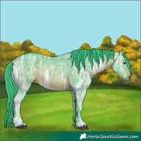 Horse Color:Watercolor Brown Ice