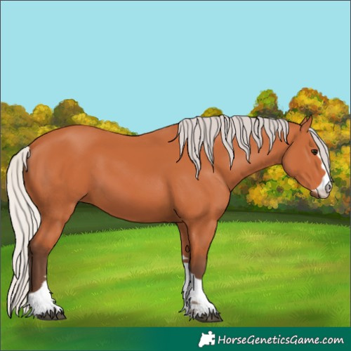 Horse Color:Silver Bay 