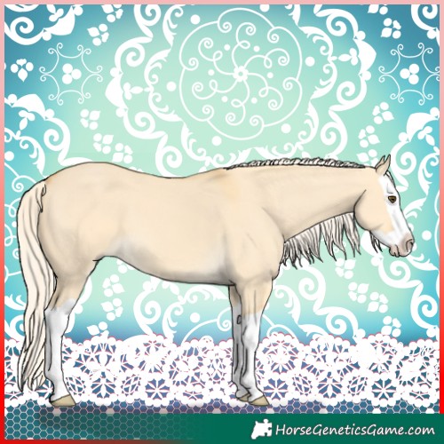 Horse Color:Palomino Dun Splash