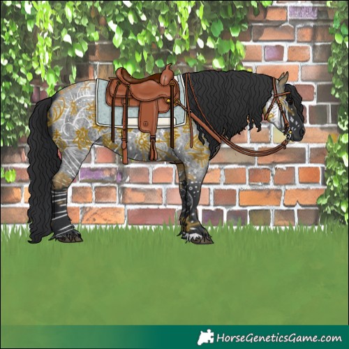 Horse Color:Blue Roan 