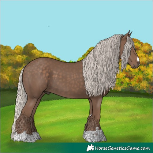 Horse Color:Silver Black 