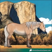 Horse Color:Silver Bay Dun