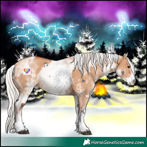 Horse Color:White Spotted Bay Dun Rabicano  and White Spotted Silver Bay Dun Rabicano 