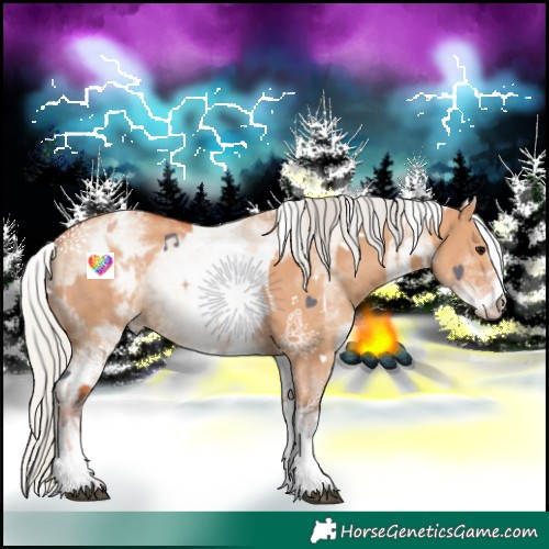 Horse Color:White Spotted Bay Dun Rabicano and White Spotted Silver Bay Dun Rabicano