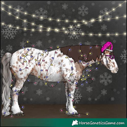 Horse Color:Brown Sabino Splash Appaloosa  and Sable Champagne Sabino Splash Appaloosa 