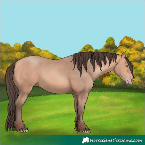 Horse Color:Amber Champagne 