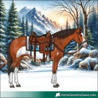 Horse Color:Bay Splash Frame