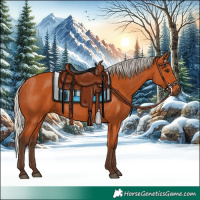 Horse Color:Silver Bay