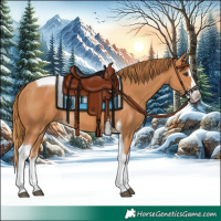 Horse Color:Chestnut Splash Tobiano 