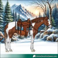 Horse Color:Chestnut Splash Tobiano 