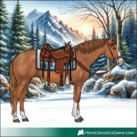 Horse Color:Chestnut Splash Tobiano 