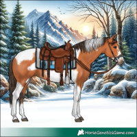 Horse Color:Bay Tobiano Frame