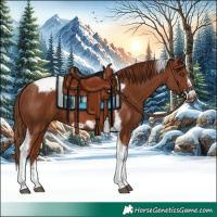 Horse Color:Chestnut Tobiano Frame 