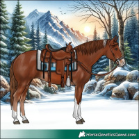 Horse Color:Chestnut Splash Tobiano 