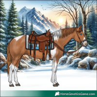 Horse Color:Chestnut Tobiano Frame 