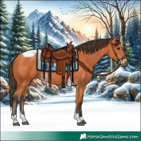 Horse Color:Bay Tobiano Frame 