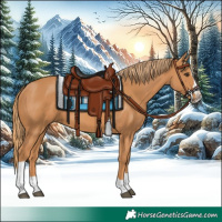 Horse Color:Chestnut Splash Tobiano 