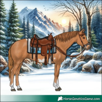 Horse Color:Chestnut Tobiano Frame 