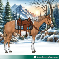 Horse Color:Chestnut Tobiano Frame