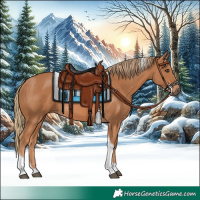 Horse Color:Chestnut Tobiano Frame 