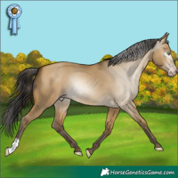 Horse Color:Gray Sable Cream Champagne Dun 