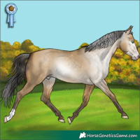 Horse Color:Gray Sable Cream Champagne Dun 