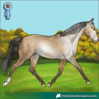 Horse Color:Gray Sable Cream Champagne Dun 