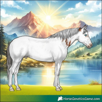 Horse Color:Bay Splash Tobiano Frame 
