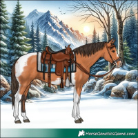 Horse Color:Bay Tobiano Frame 
