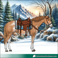 Horse Color:White Spotted Chestnut