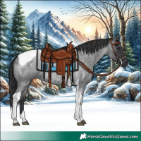 Horse Color:Blue Roan Tobiano 