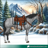 Horse Color:Blue Roan Tobiano 
