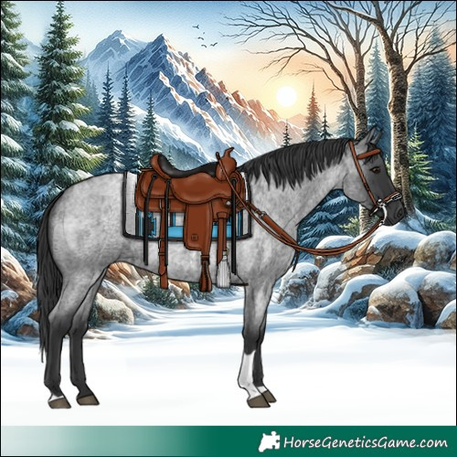 Horse Color:Blue Roan Tobiano 