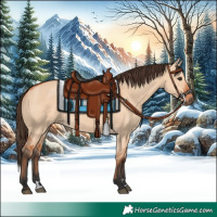 Horse Color:Bay Dun 
