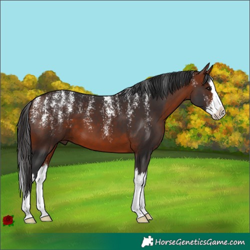 Horse Color:Powder White Brown Splash 