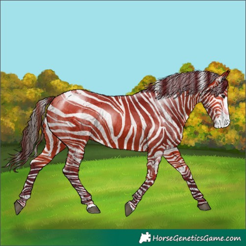 Horse Color:Bay Frame 