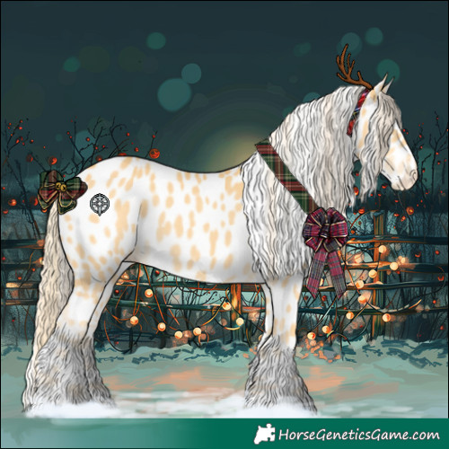 Horse Color:Palomino Appaloosa